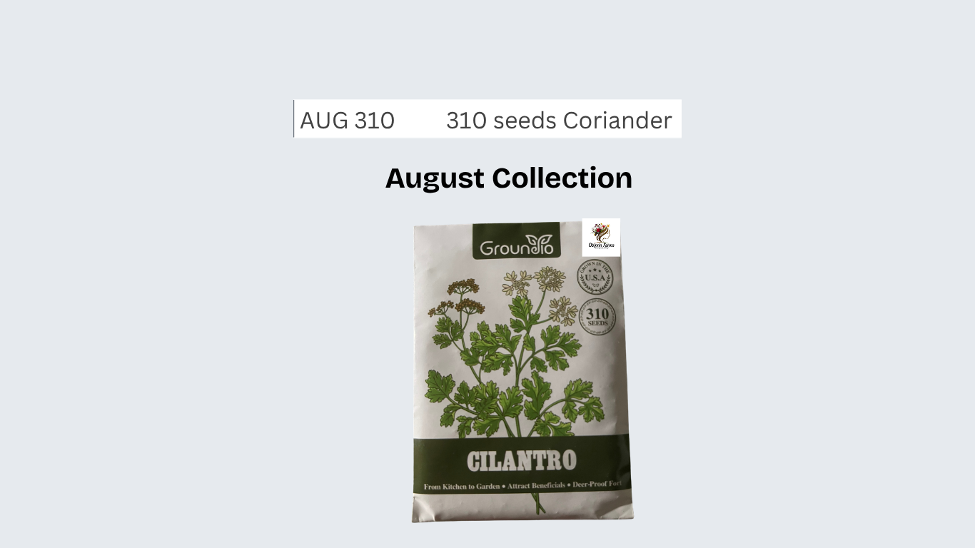 310 seeds Coriander
