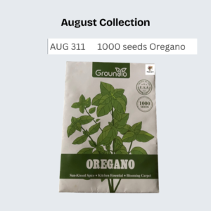 1000 seeds Oregano