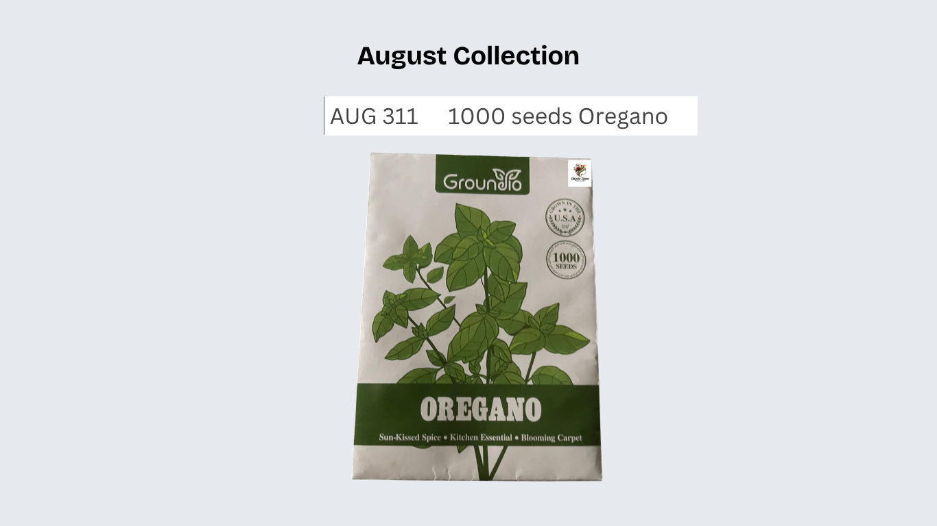 1000 seeds Oregano