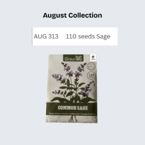 110 seeds Sage