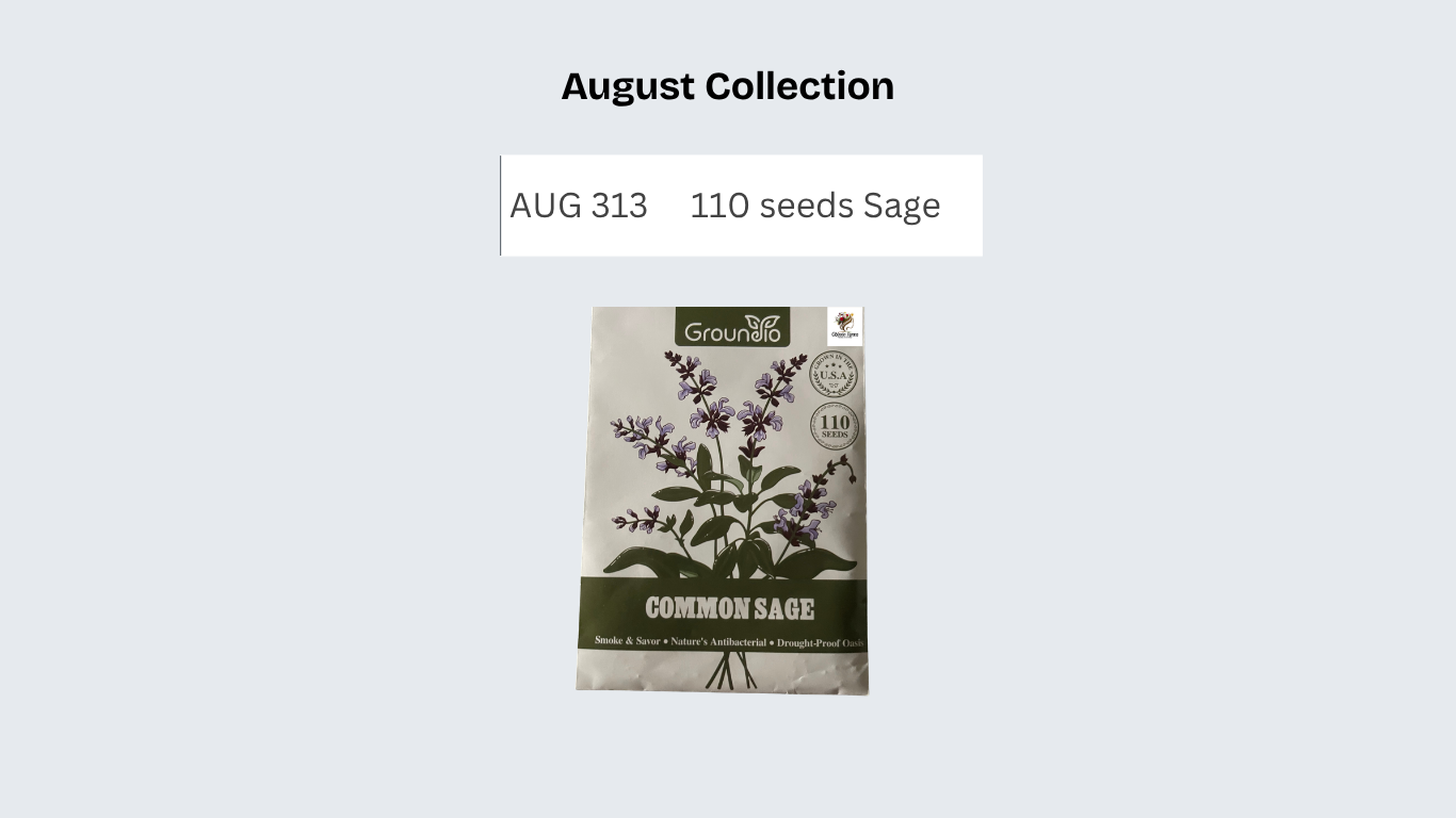 110 seeds Sage