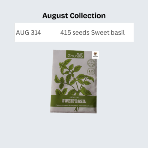 415 seeds Sweet basil