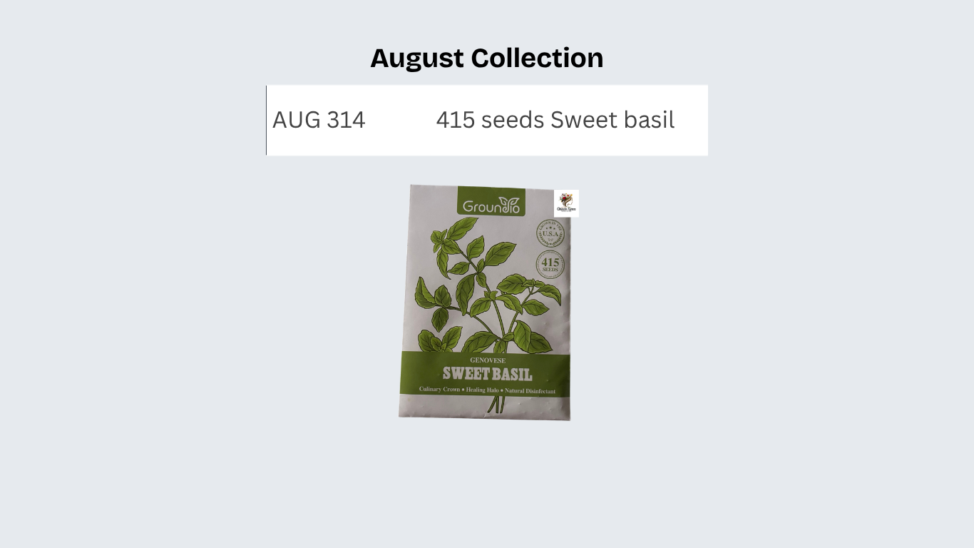 415 seeds Sweet basil