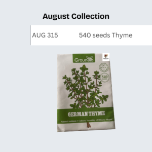 540 seeds Thyme