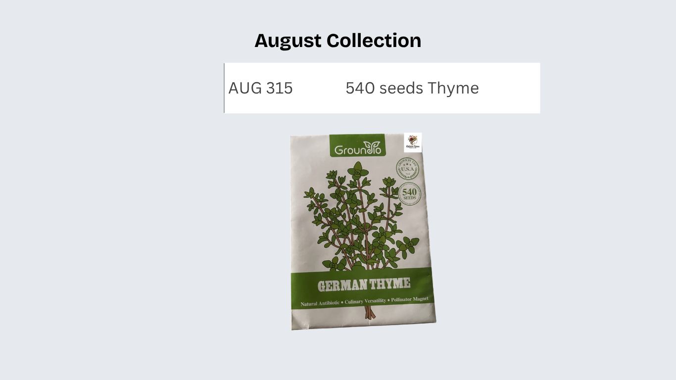 540 seeds Thyme