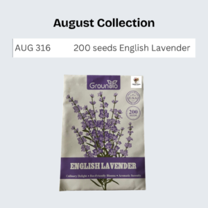 200 seeds English Lavender