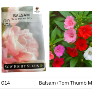 Balsam (Tom Thumb Mix)