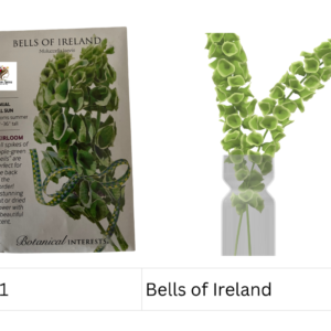 Bells of Ireland