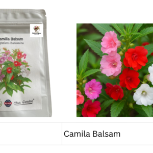 Camila Balsam