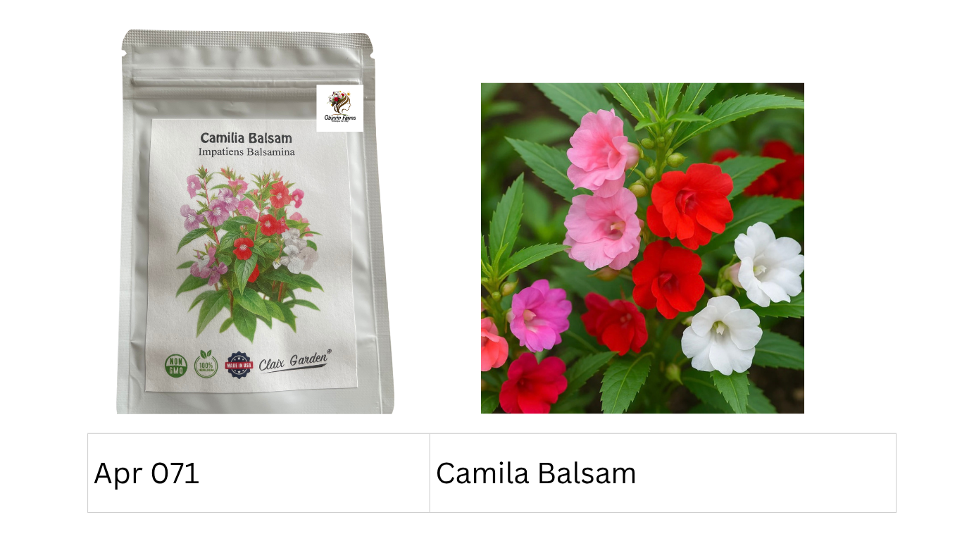 Camila Balsam