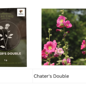 Chater's Double