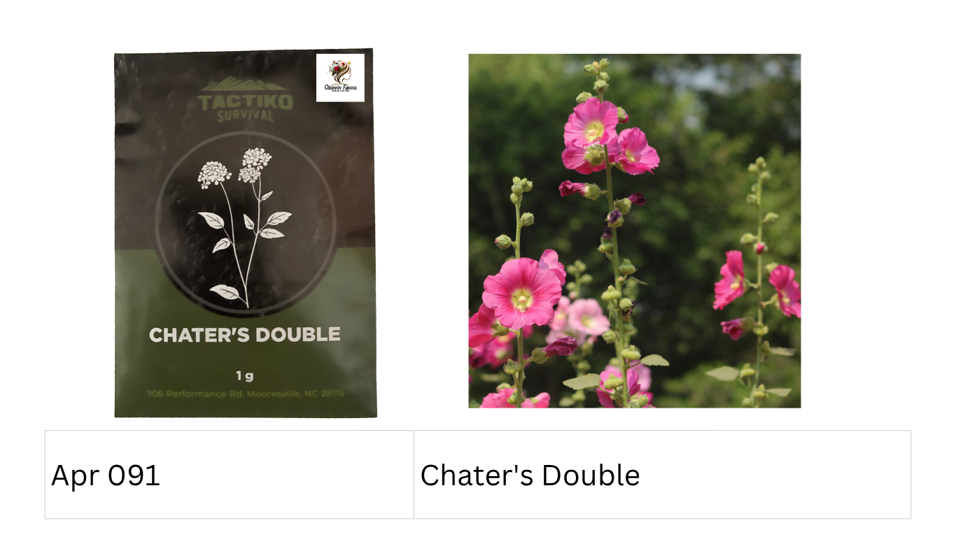 Chater's Double