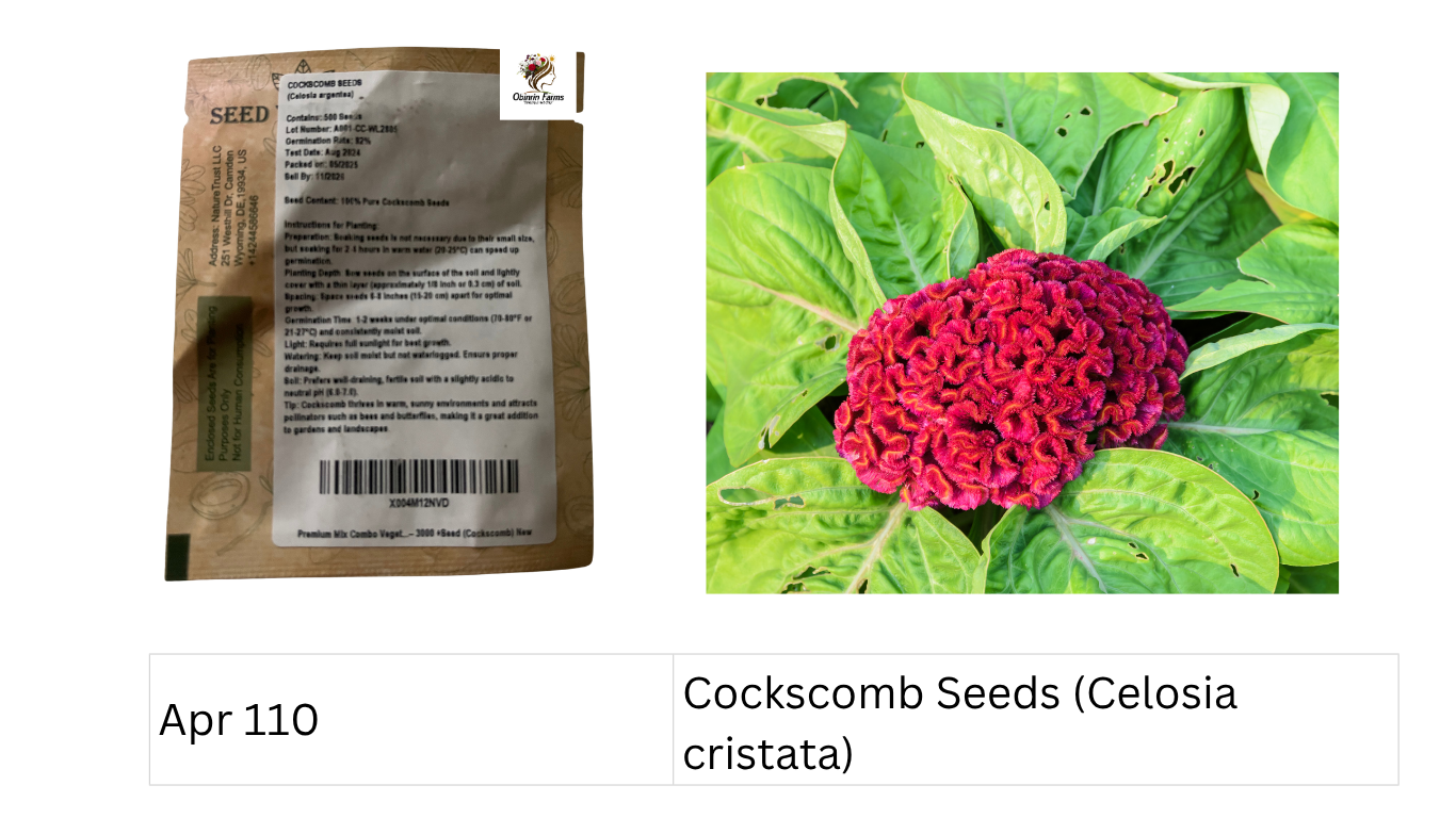 Cockscomb Seeds (Celosia cristata)