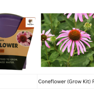 Coneflower (Grow Kit) Planter Pot
