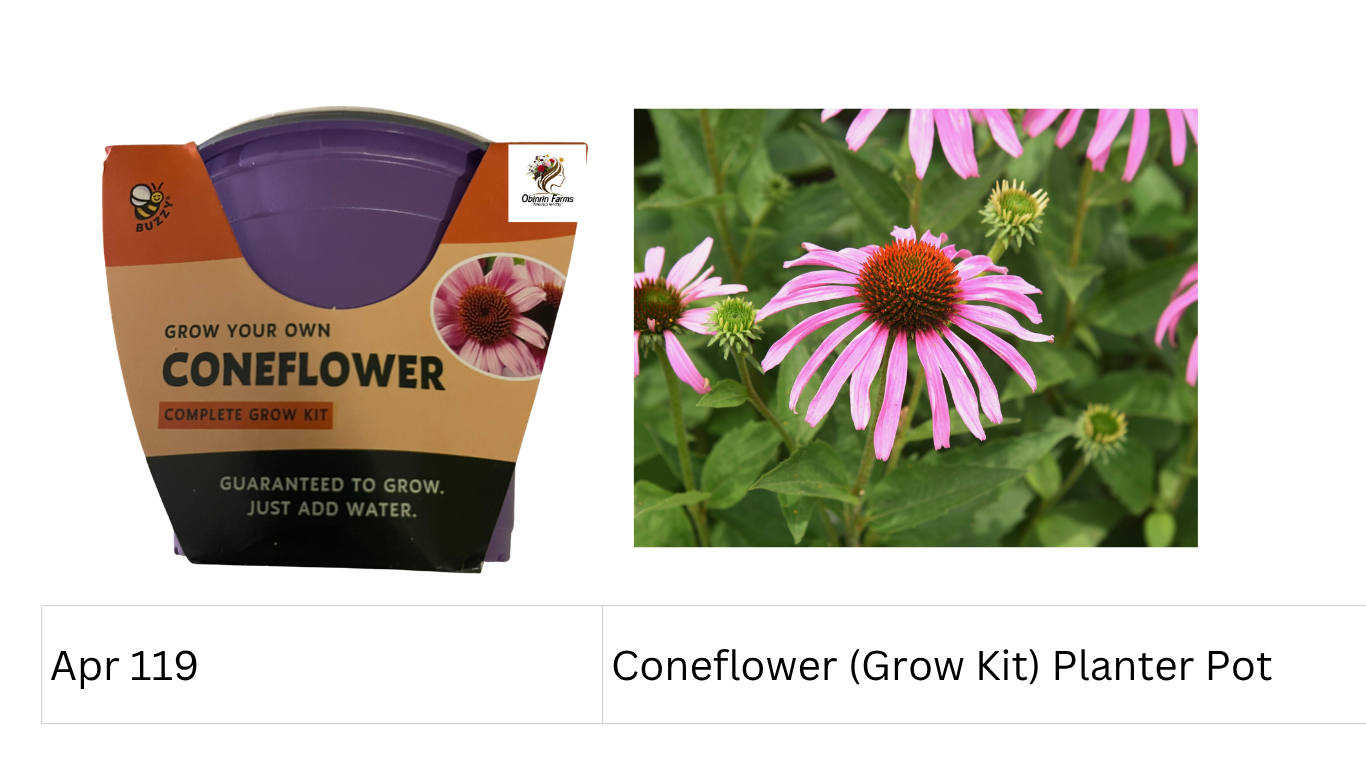 Coneflower (Grow Kit) Planter Pot