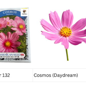 Cosmos (Daydream)