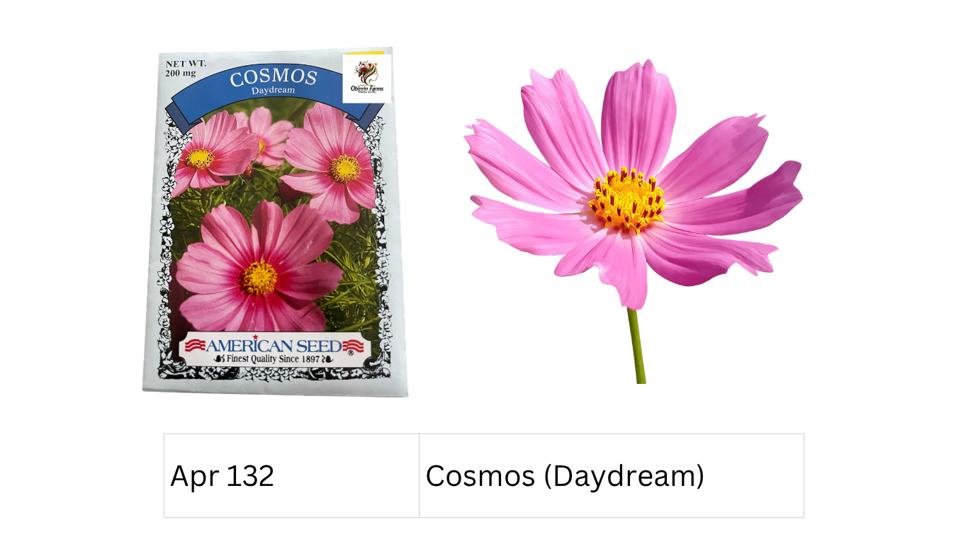 Cosmos (Daydream)