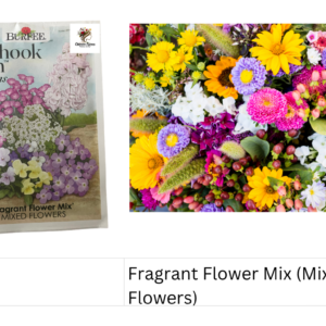 Fragrant Flower Mix (Mixed Flowers)