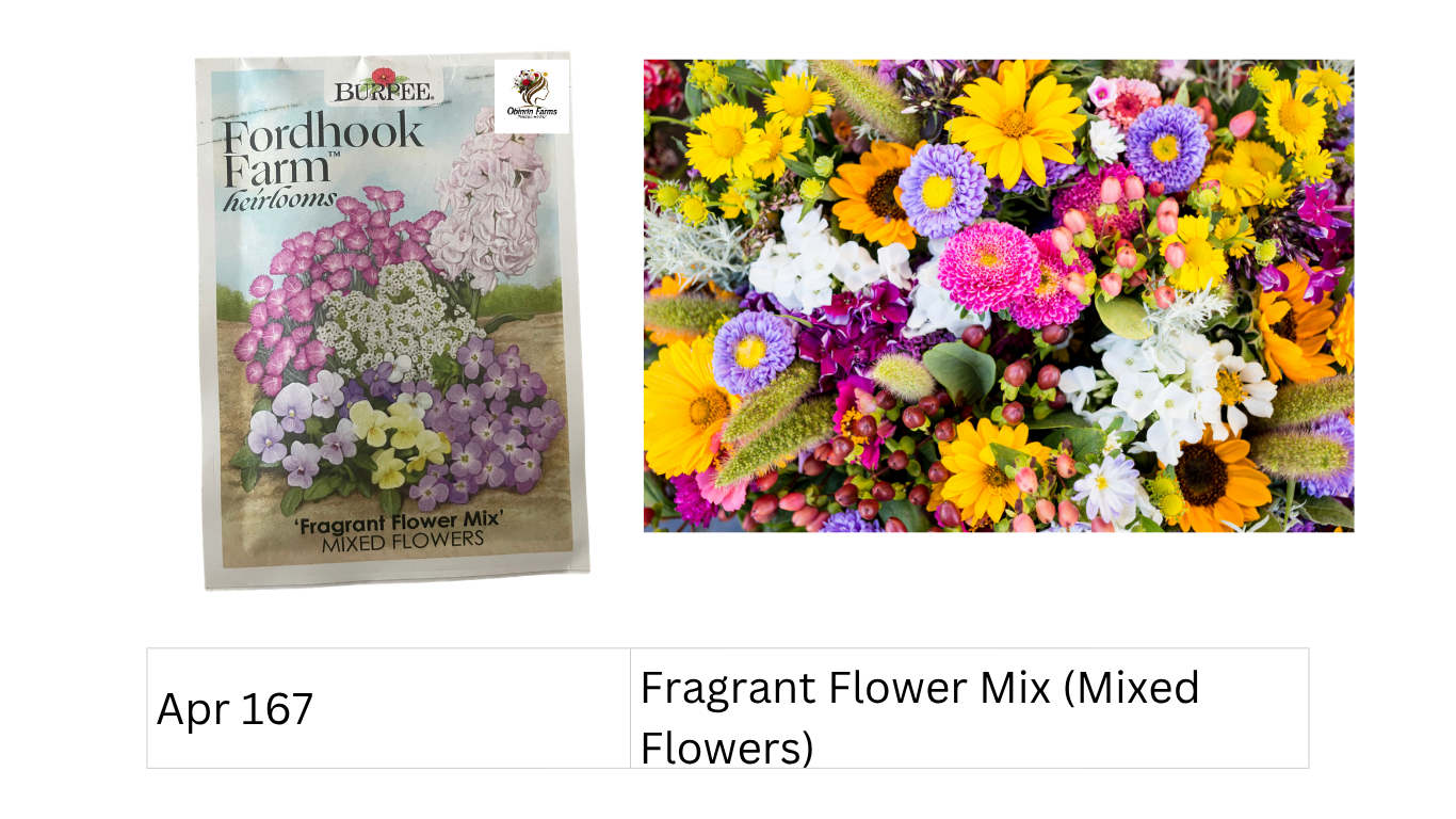 Fragrant Flower Mix (Mixed Flowers)