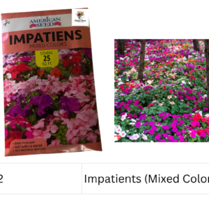 Impatiens (Mixed Colors)