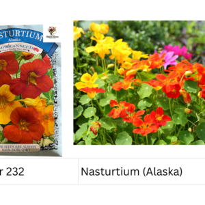 Nasturtium (Alaska)