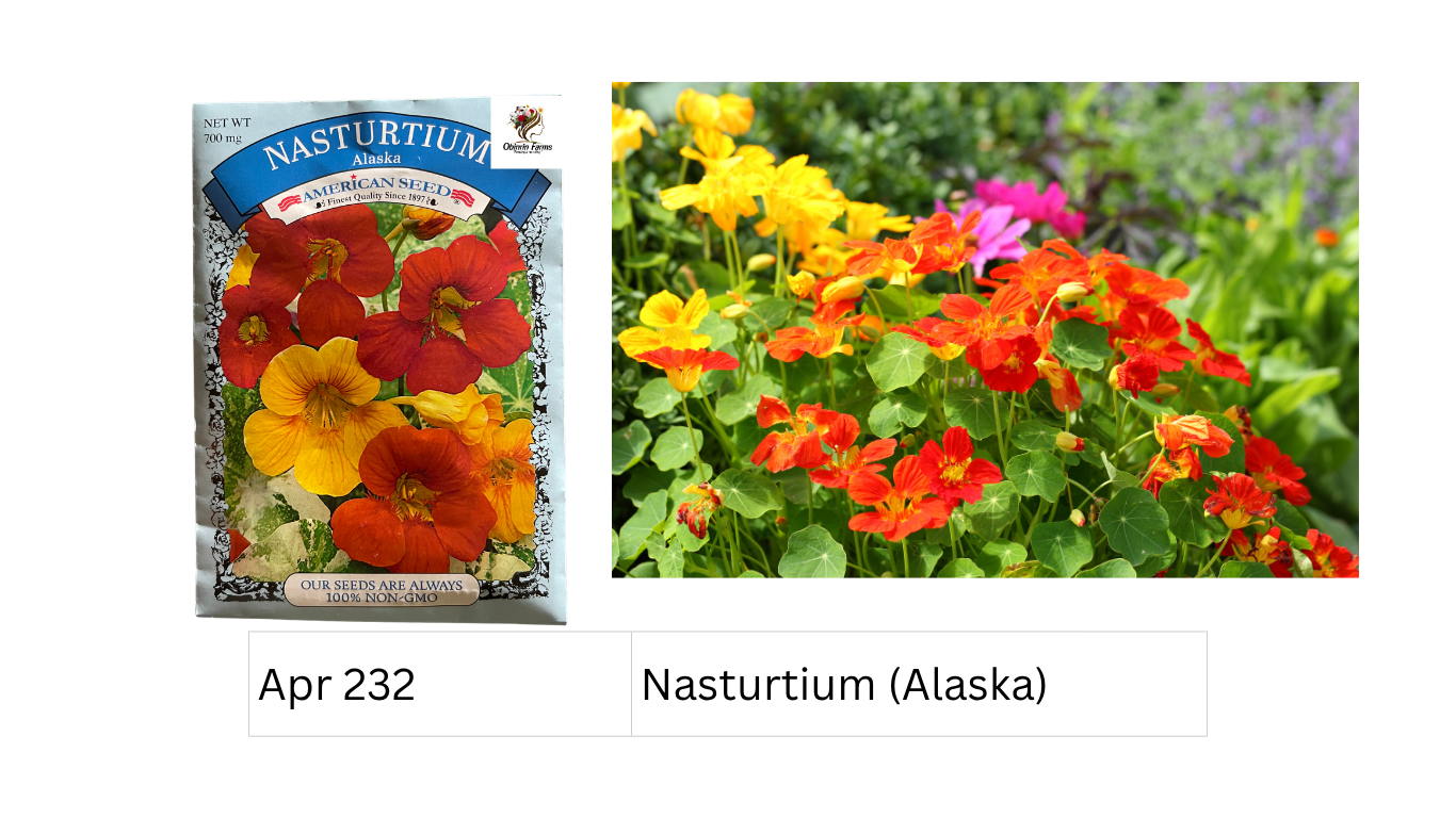 Nasturtium (Alaska)