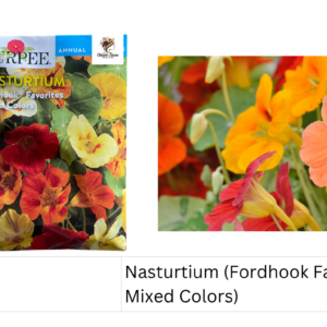 Nasturtium (Fordhook Favorites Mixed Colors)
