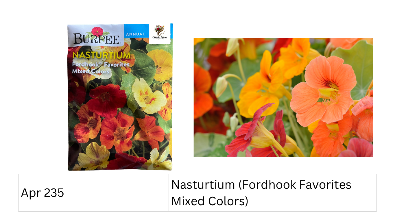 Nasturtium (Fordhook Favorites Mixed Colors)