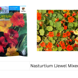 Nasturtium (Jewel Mixed Colors)