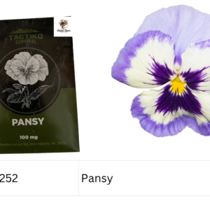Pansy