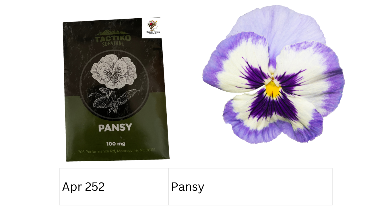 Pansy