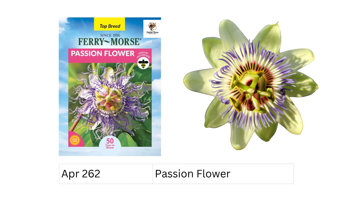 Passion Flower