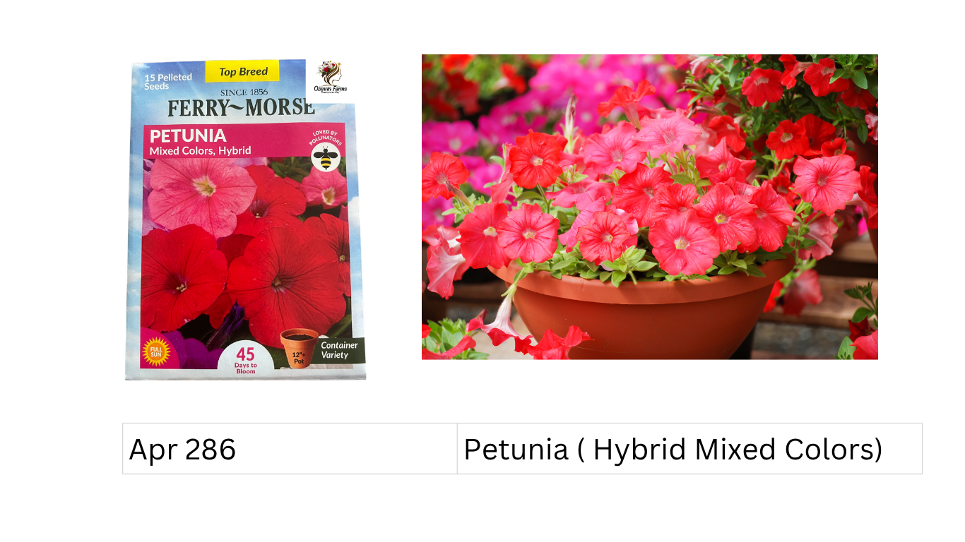 Petunia ( Hybrid Mixed Colors)