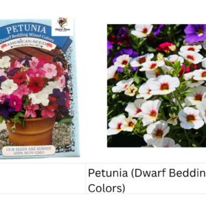 Petunia (Dwarf Bedding Mixed Colors)