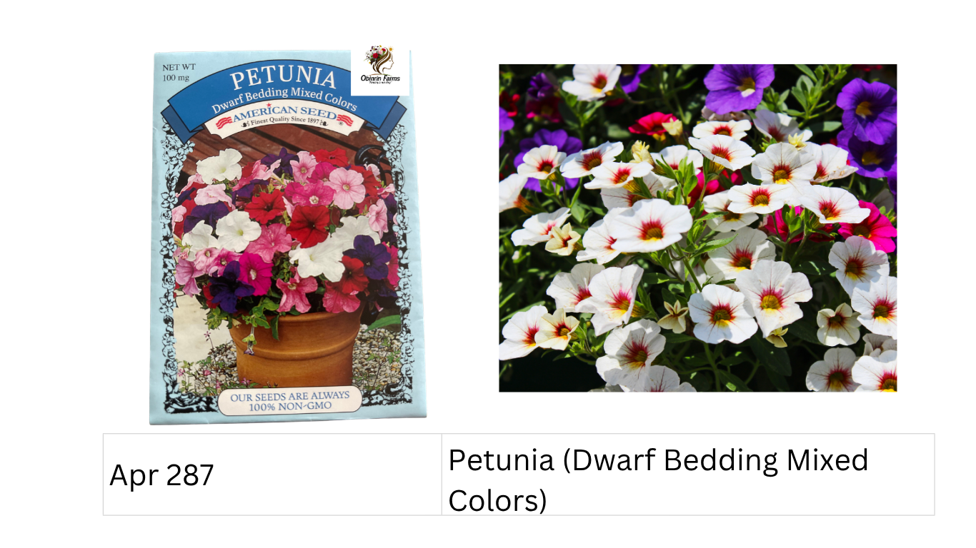 Petunia (Dwarf Bedding Mixed Colors)