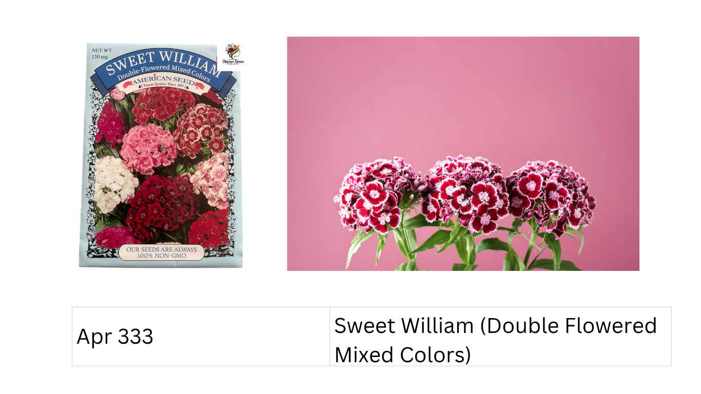 Sweet William (Double Flowered Mixed Colors)