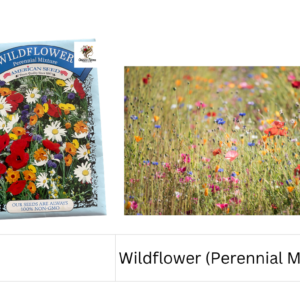 Wildflower (Perennial Mixture)