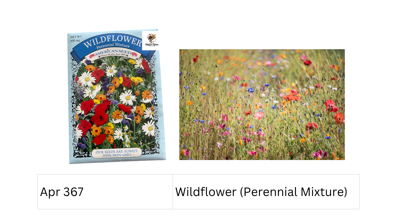 Wildflower (Perennial Mixture)