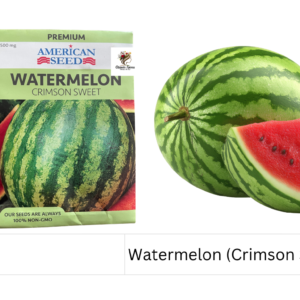 Watermelon (Crimson Sweet)