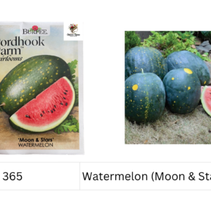 Watermelon (Moon & Stars)