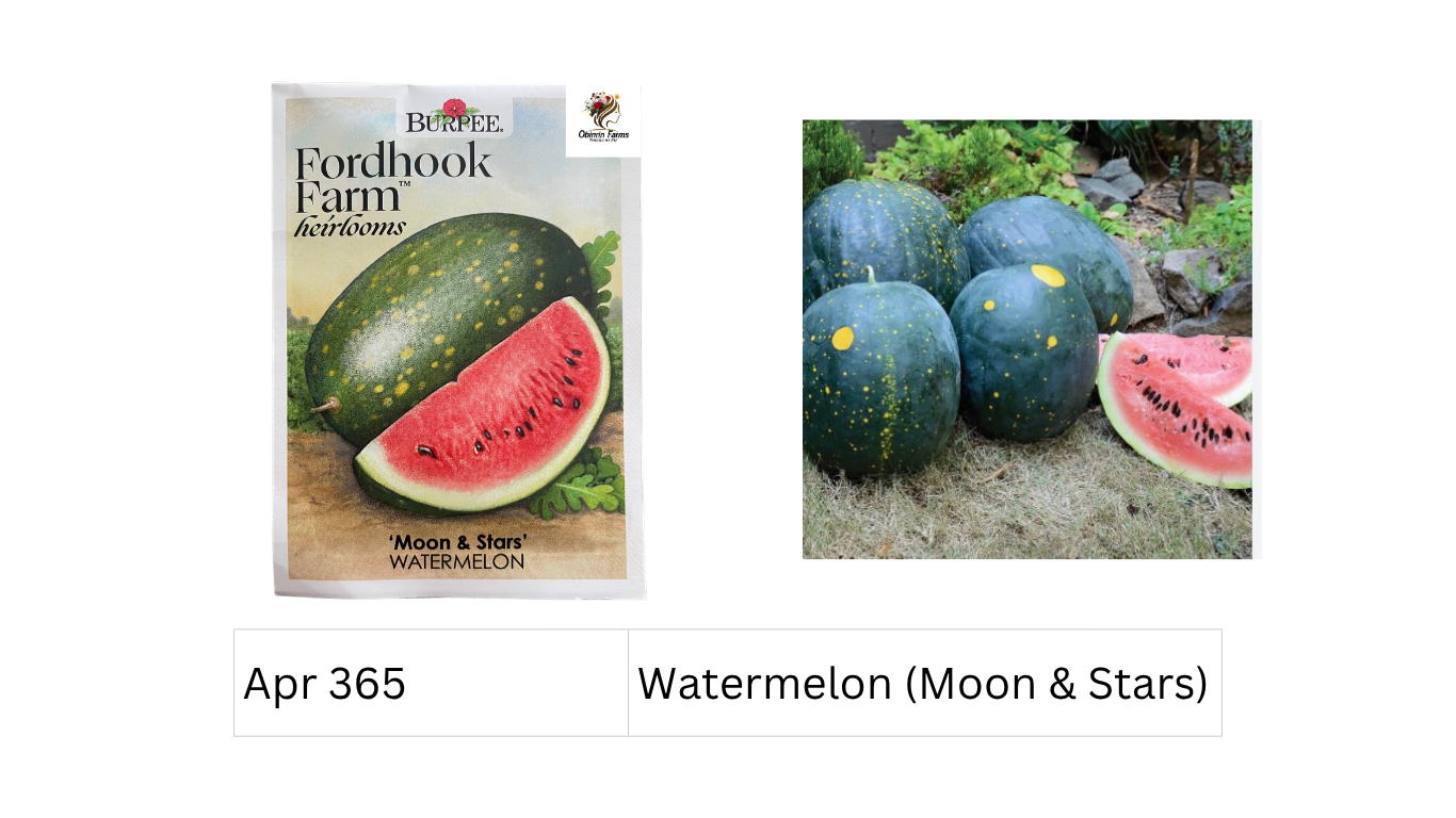 Watermelon (Moon & Stars)