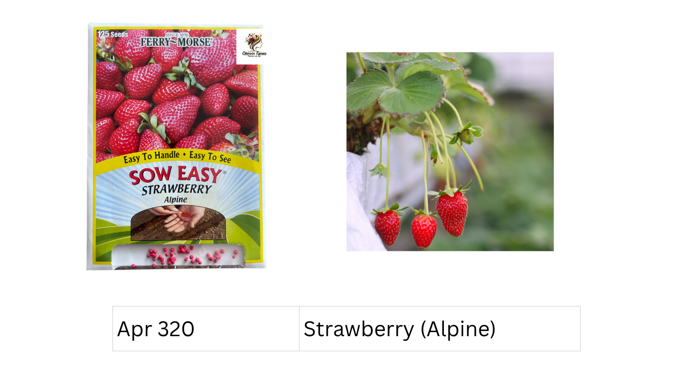 Strawberry (Alpine)