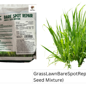 Grass Lawn Bare Spot Repair (Grass Seed Mixture)