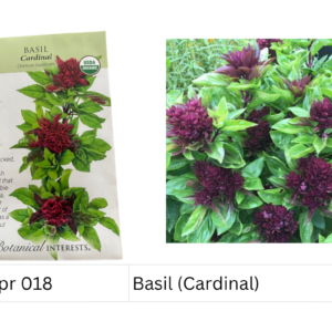 Basil (Cardinal)