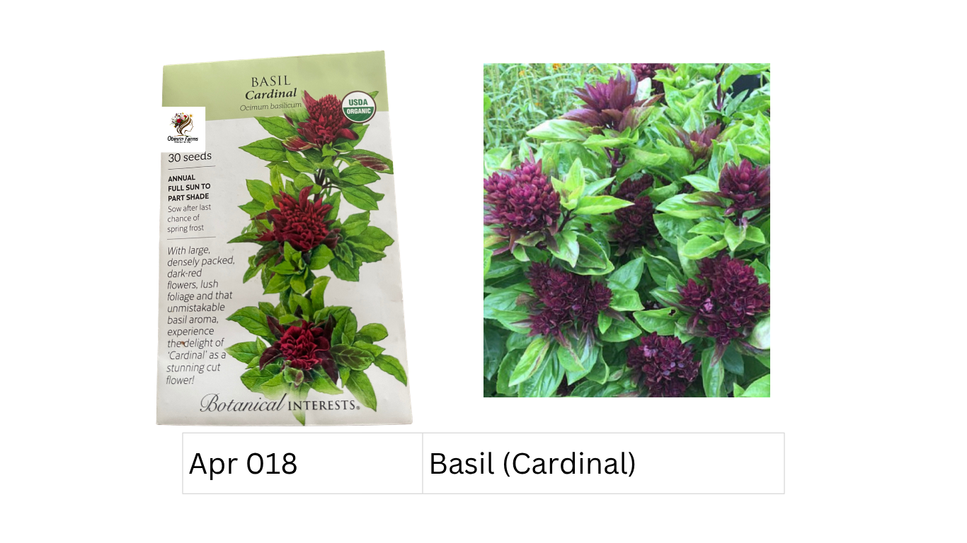 Basil (Cardinal)