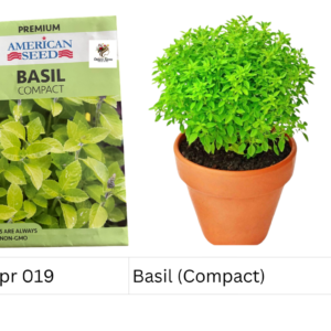 Basil (Compact)
