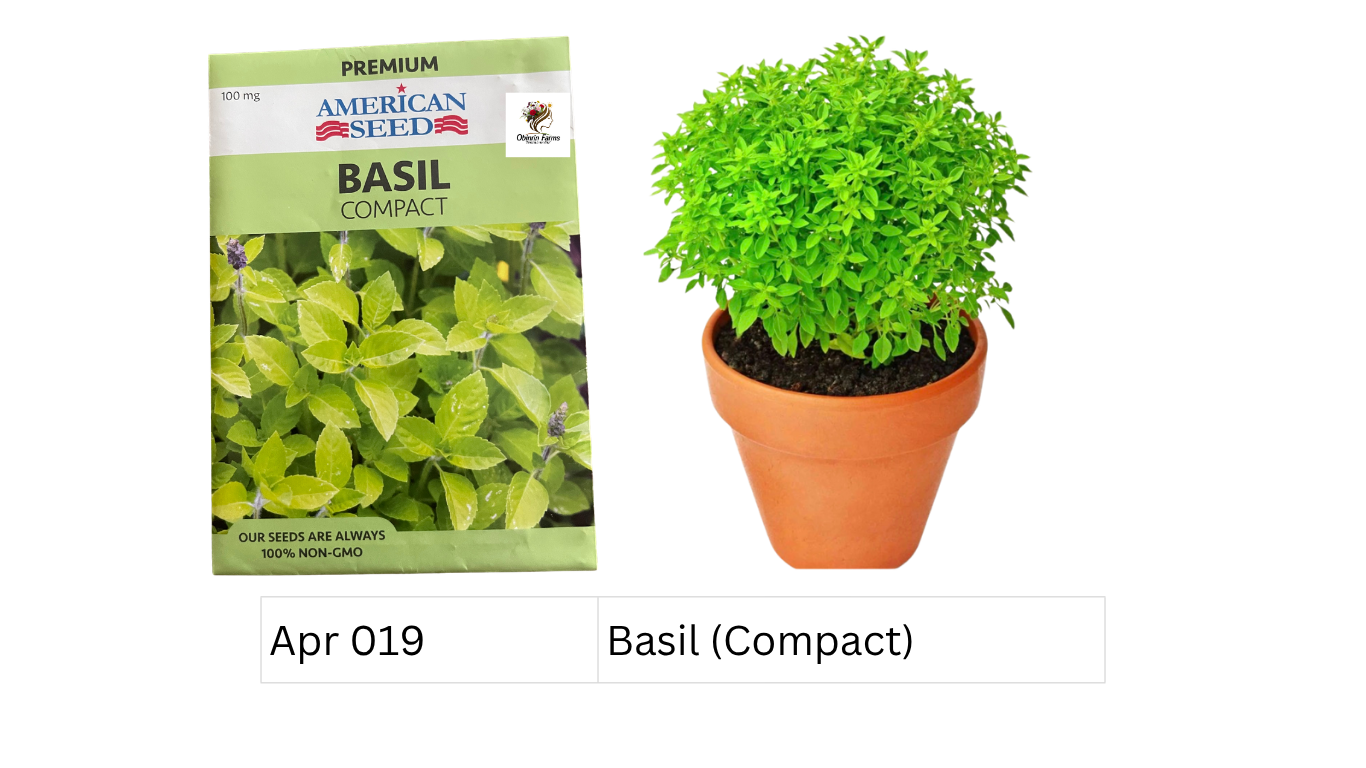 Basil (Compact)