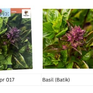 Basil (Batik)