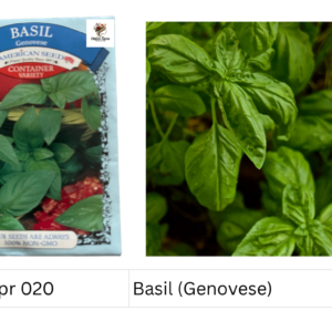 Basil (Genovese)