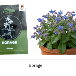 Borage